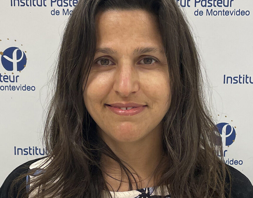 The essential kinase TgGSK regulates centrosome division and endodyogeny in Toxoplasma gondii