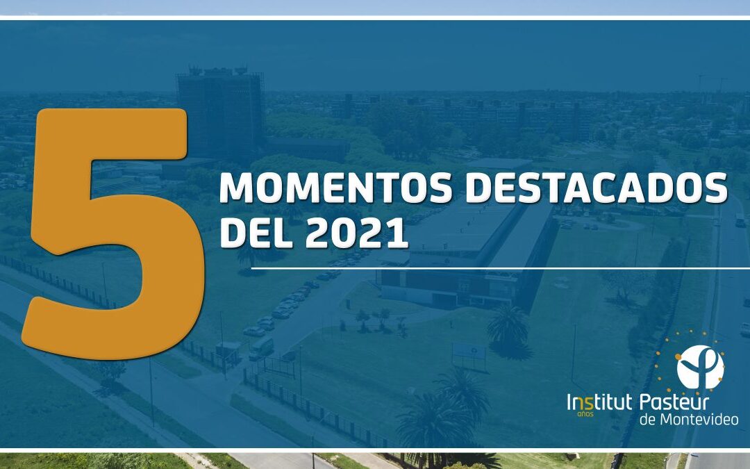 Los 5 momentos destacados del 2021 en el IP Montevideo