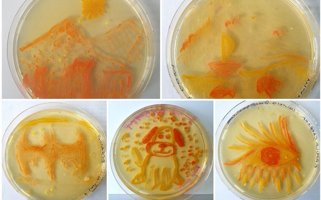 Arte con bacterias: Aquí los resultados