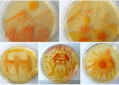 Arte con bacterias: Aquí los resultados