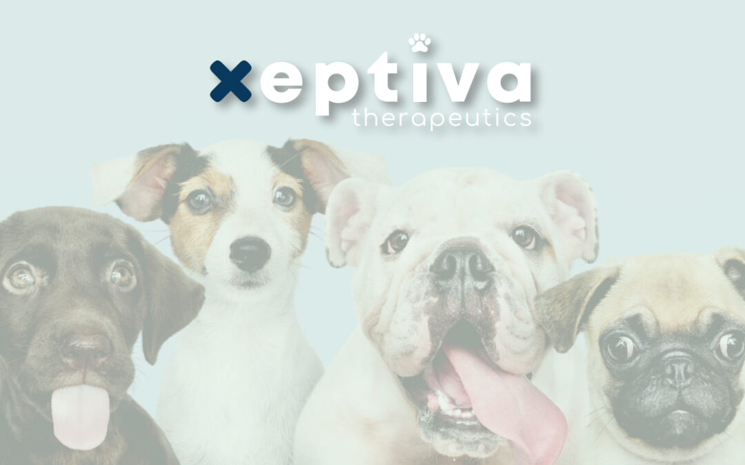 Start-up Xeptiva más cerca de su primera vacuna contra el dolor en animales