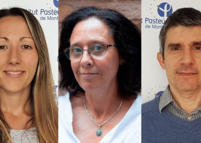 Scientists from IP Montevideo won the ACIP call for researchers and one was chosen to lead Pasteur International Research Unit