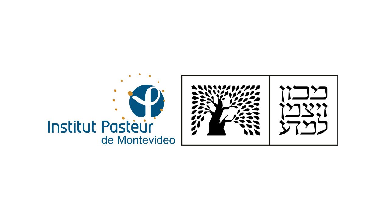 Logos IP Montevideo - Weizmann