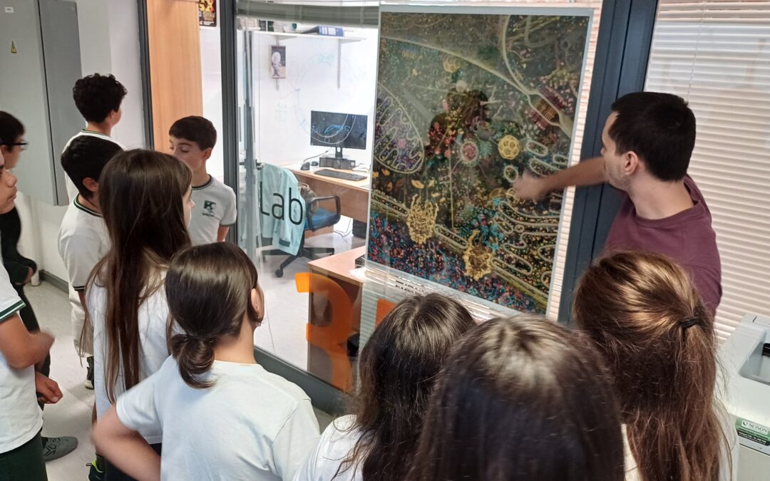 Visitas guiadas al instituto para escuelas, liceos y UTUs