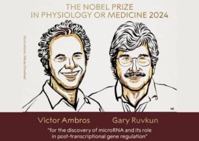 Premio Nobel de Medicina 2024: MicroARN, pequeños gigantes detrás de la regulación de los genes