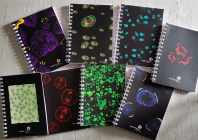 “Cuadernos científicos”: el nuevo producto del instituto para divulgar ciencia