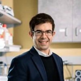 Mitochondria and cell senescence: a matter of life and death