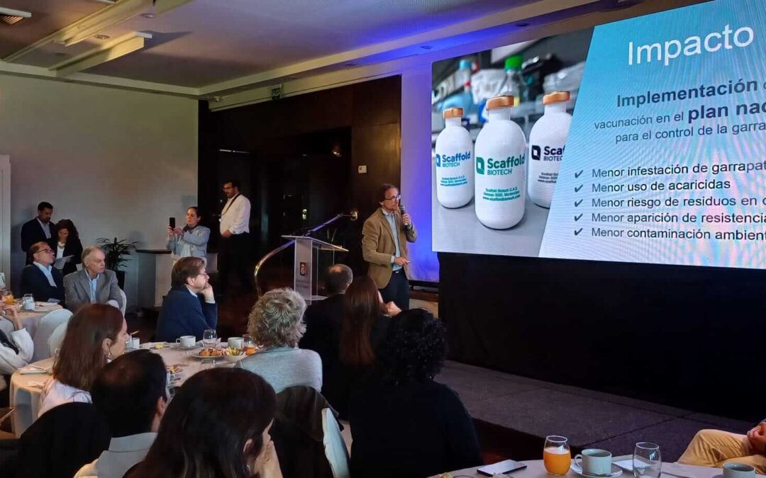 Vacuna uruguaya contra la garrapata presentó resultados positivos y pronto comenzará a usarse en plan de control nacional