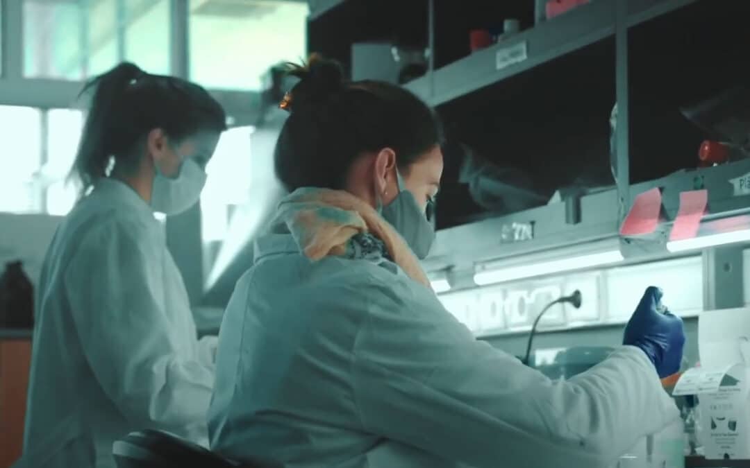 Llamado a estudiante de posgrado Laboratorio Biología Redox Tripanosomátidos