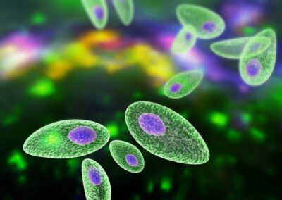 Un parásito de la toxoplasmosis podría afectar la fertilidad masculina