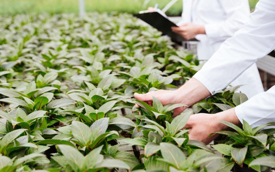 Intensive Agriculture Impacts Soil Microbial Diversity in Uruguay