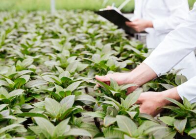 Agricultura intensiva afecta la diversidad microbiana en suelos del país