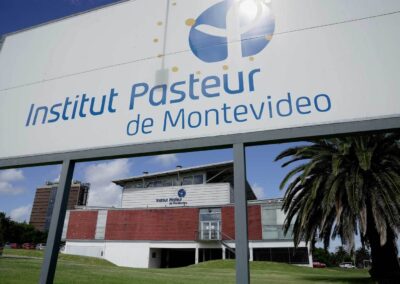 Investigadores e investigadoras del IP Montevideo obtienen fondos de ANII
