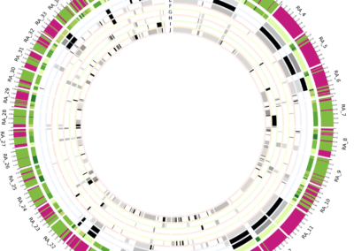 Nuevo mapa genético del parásito del Chagas abre la puerta a mejores investigaciones