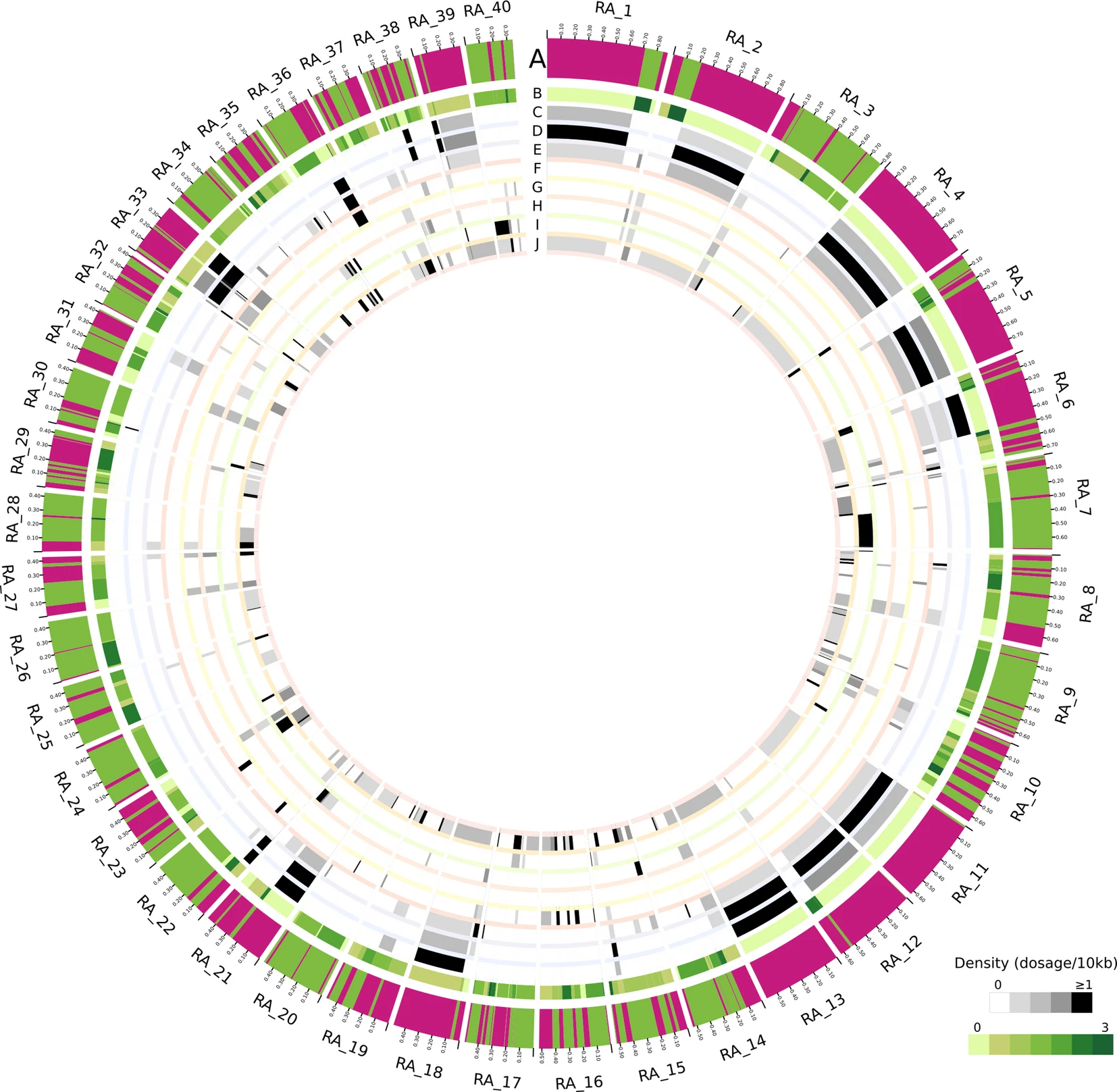 Nuevo mapa genético del parásito del Chagas abre la puerta a mejores investigaciones