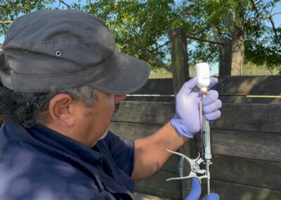 Comenzó Plan Piloto de Vacunación contra la garrapata