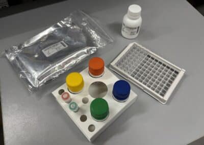 New kits improve the detection of a disease in dairy cattle