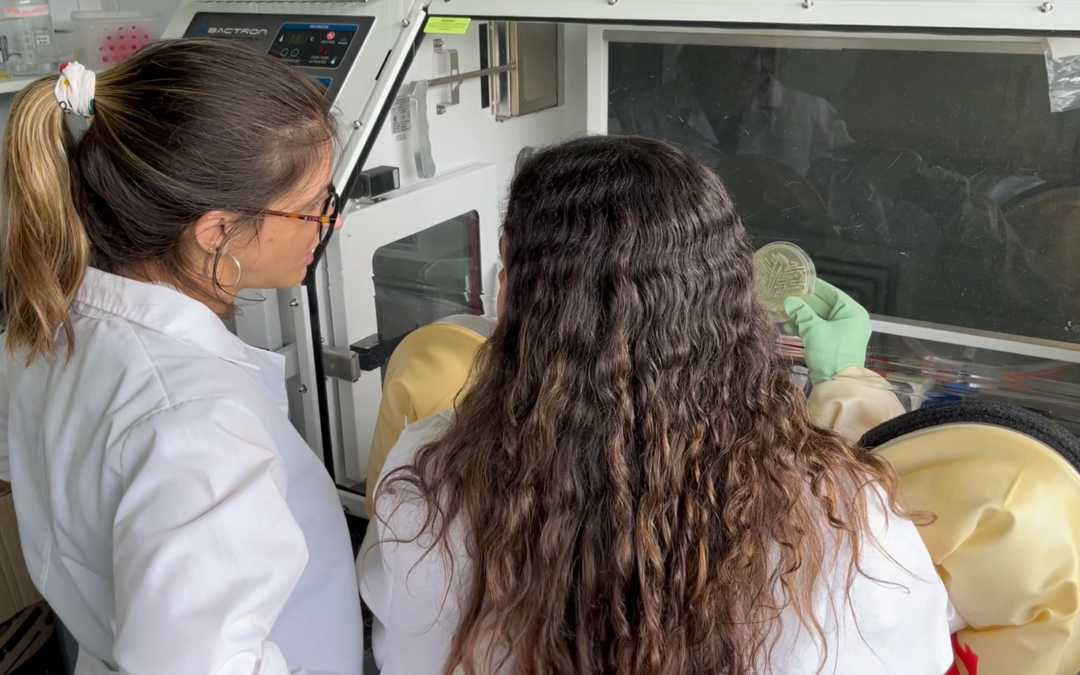 Differences in gut bacteria in children with autism