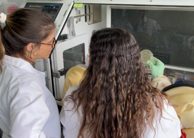 Diferencias en bacterias intestinales en niños con autismo