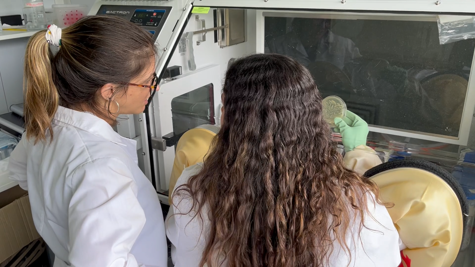 Nadia, autismo y microbiota