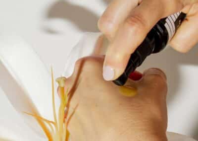 Ciencia al cuidado de la piel: personalización cosmética impulsada por el análisis del microbioma